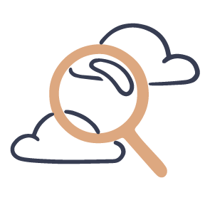 Magnifier icon